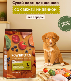 NOW'KITCHEN Сухой корм для щенков со свежей индейкой, уткой, лососем
