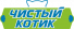 Чистый котик