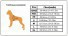 Truelove светоотражающая сетчатая шлейка для собак, Размер ХL